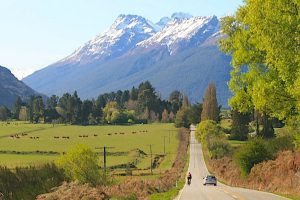 Toward-Paradise-NZ